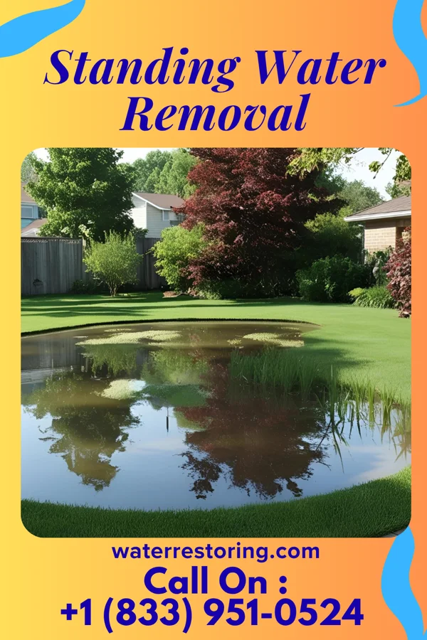 Standing Water Removal in Fort Towson, OK